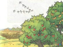 儿童画秋天：秋逝