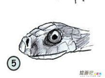 /jianbihua/dongwujianbi/50390.html