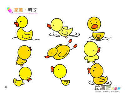 鸭子 鸭子