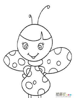 七星瓢虫 七星瓢虫