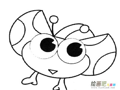 七星瓢虫 七星瓢虫