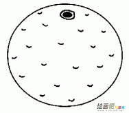 水果简笔画：黄色水果