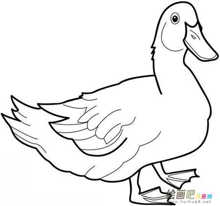 啊 啊
