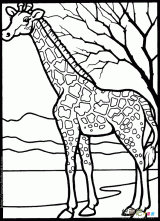 1 1