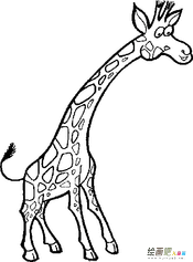 1 1