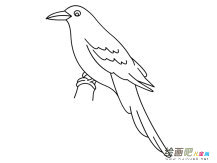 /jianbihua/dongwujianbi/50356.html
