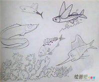 /jianbihua/dongwujianbi/50013.html