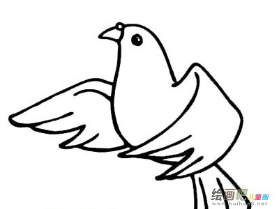 和平鸽简笔画:放飞和平鸽 和平鸽简笔画:放飞和平鸽