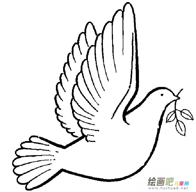 和平鸽简笔画:放飞我心中的和平鸽 和平鸽简笔画:放飞我心中的和平鸽