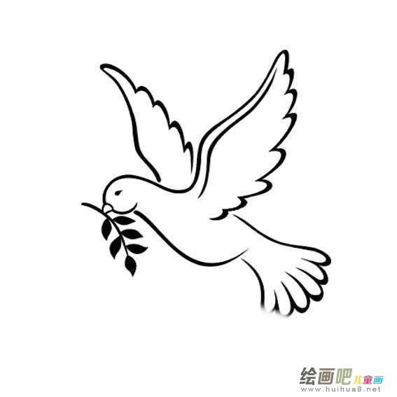 和平鸽简笔画:哦,和平鸽 和平鸽简笔画:哦,和平鸽