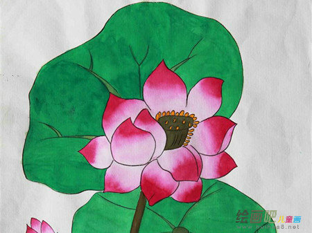 水粉画:盛开的红莲 水粉画:盛开的红莲