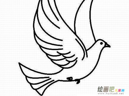 和平鸽简笔画:和平鸽的地位 和平鸽简笔画:和平鸽的地位