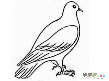 /jianbihua/dongwujianbi/50326.html