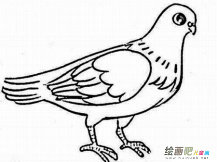 /jianbihua/dongwujianbi/50442.html
