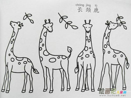 长颈鹿简笔画：长颈鹿脖子为什么那么长