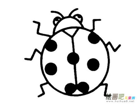 七星瓢虫简笔画:关于瓢虫的科普知识 七星瓢虫简笔画:关于瓢虫的科普知识