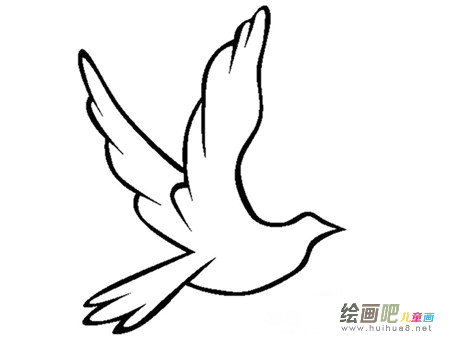 和平鸽简笔画:和平鸽在哭泣 和平鸽简笔画:和平鸽在哭泣