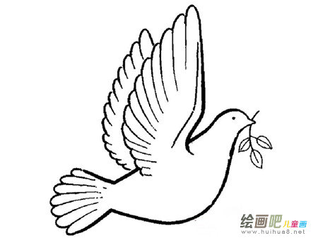 和平鸽简笔画:放飞你我心中的和平鸽 和平鸽简笔画:放飞你我心中的和平鸽