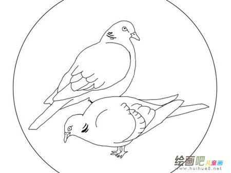 和平鸽简笔画:带着和平飞过 和平鸽简笔画:带着和平飞过
