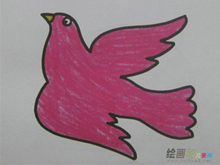 和平鸽简笔画:我愿我是一只和平鸽 和平鸽简笔画:我愿我是一只和平鸽