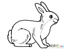 /jianbihua/dongwujianbi/50950.html