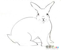 /jianbihua/dongwujianbi/50837.html