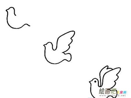 和平鸽简笔画：我发现和平鸽受伤了