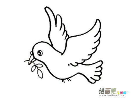 和平鸽简笔画:我仿佛变成了一只和平鸽 和平鸽简笔画:我仿佛变成了一只和平鸽