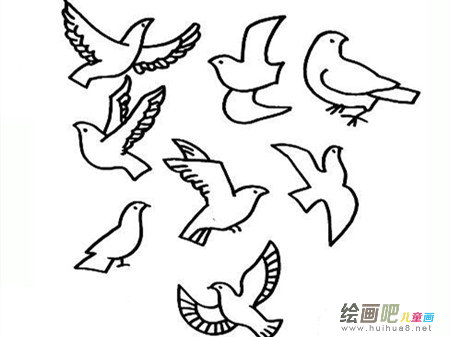 和平鸽简笔画:愿做和平鸽 和平鸽简笔画:愿做和平鸽