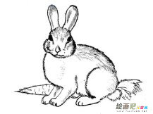 /jianbihua/dongwujianbi/50841.html