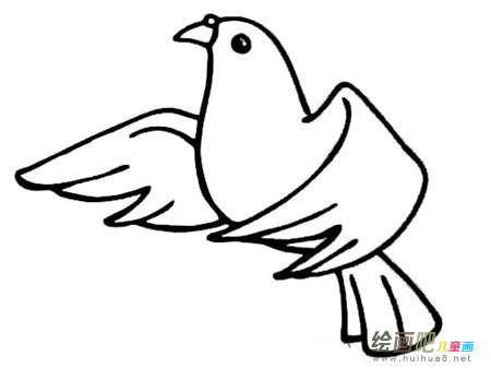和平鸽简笔画:我好想化作一只和平鸽 和平鸽简笔画:我好想化作一只和平鸽