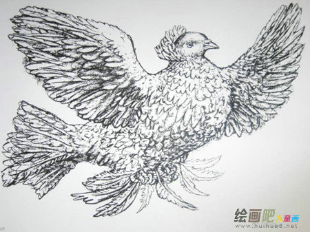 和平鸽简笔画:和平的吉祥物 和平鸽简笔画:和平的吉祥物