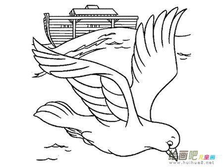 和平鸽简笔画：和平鸽向我走来