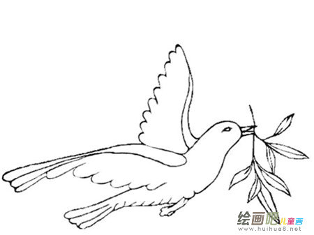 和平鸽简笔画:毕加索与和平鸽的故事 和平鸽简笔画:毕加索与和平鸽的故事