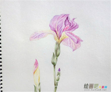 彩色铅笔画：水彩笔和彩色铅笔