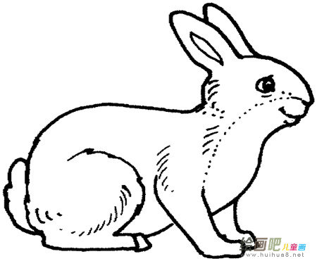兔子简笔画:助人为乐的小白兔 兔子简笔画:助人为乐的小白兔