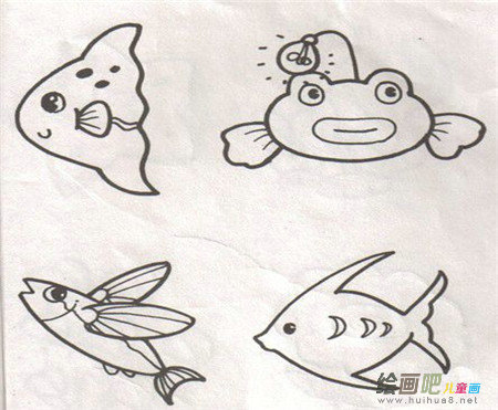 海洋生物简笔画:“养”海洋生物球 海洋生物简笔画:“养”海洋生物球