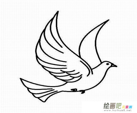 和平鸽简笔画:飞吧,和平鸽 和平鸽简笔画:飞吧,和平鸽