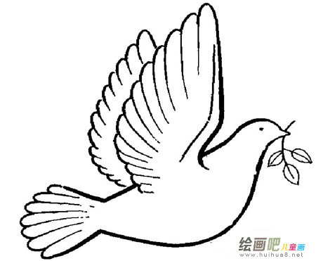 和平鸽简笔画:哦,和平鸽 和平鸽简笔画:哦,和平鸽