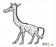 /jianbihua/dongwujianbi/50385.html