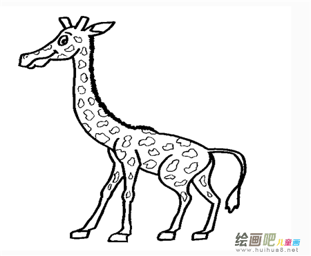 长颈鹿简笔画:聪明的长颈鹿 长颈鹿简笔画:聪明的长颈鹿