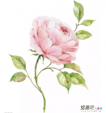 水彩画：水彩画入门要准备什么