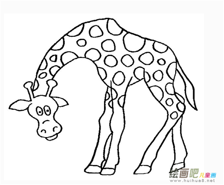 长颈鹿简笔画:我最喜欢的小动物----长颈鹿 长颈鹿简笔画:我最喜欢的小动物----长颈鹿