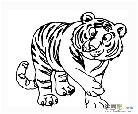 老虎简笔画:山中无老虎 老虎简笔画:山中无老虎