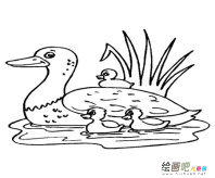 /jianbihua/dongwujianbi/50080.html