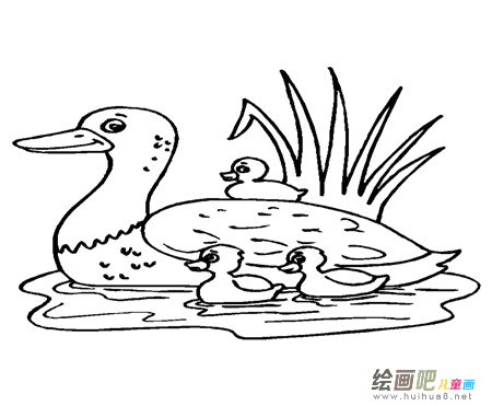 小鸭子简笔画:我的小鸭子 小鸭子简笔画:我的小鸭子
