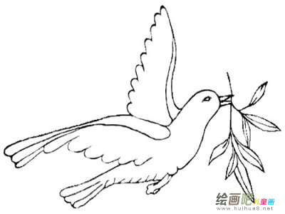 和平鸽简笔画