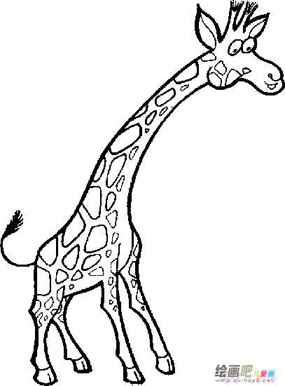 长颈鹿简笔画 长颈鹿简笔画