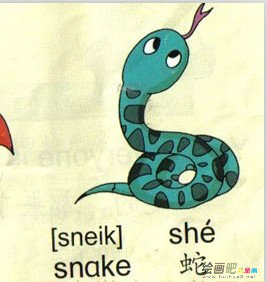 蛇的简笔画 蛇的简笔画