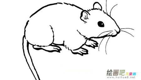 小老鼠简笔画 小老鼠简笔画
